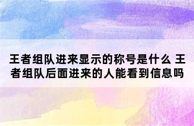 王者组队进来显示的称号是什么 王者组队后面进来的人能看到信息吗